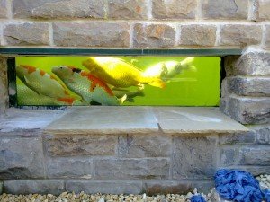 pond build cardiff Newport Vale of Glamorgan South Wales Caerphilly