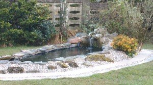 Pond cleaning Cardiff Newport Caerphilly Pontypridd Bridgend South Wales